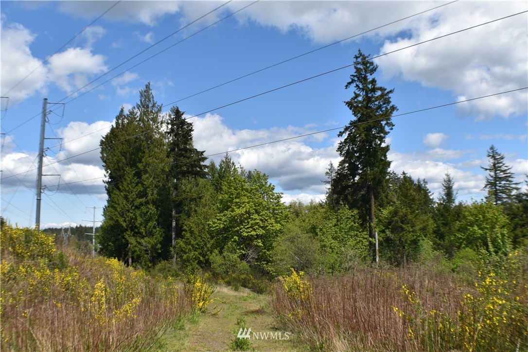 801 East Rasor Road Belfair, WA 98528 - Photo 1 of 10 Gallery Image 1