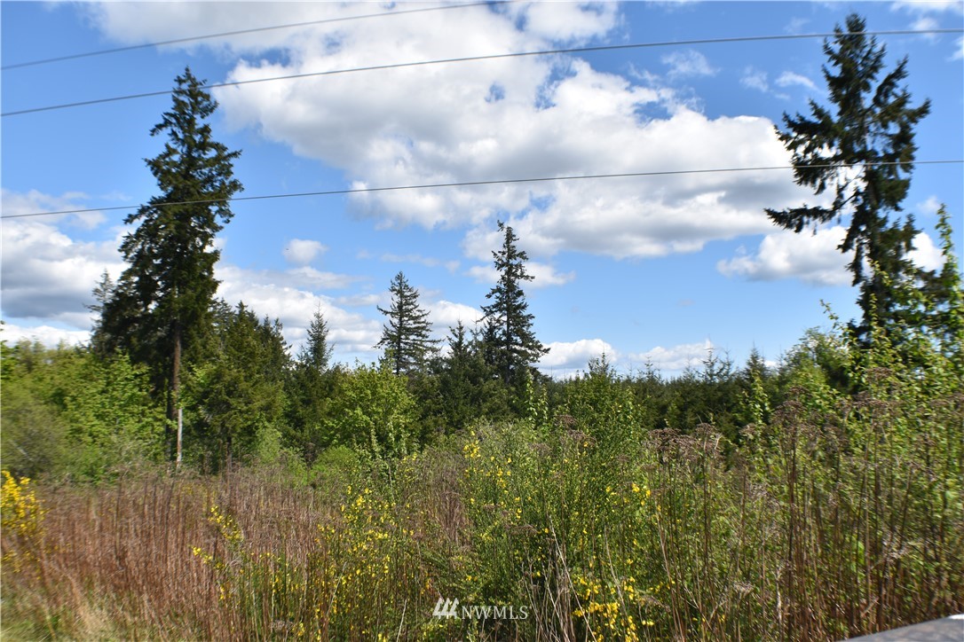 801 East Rasor Road Belfair, WA 98528 - Photo 2 of 10 Gallery Image 2
