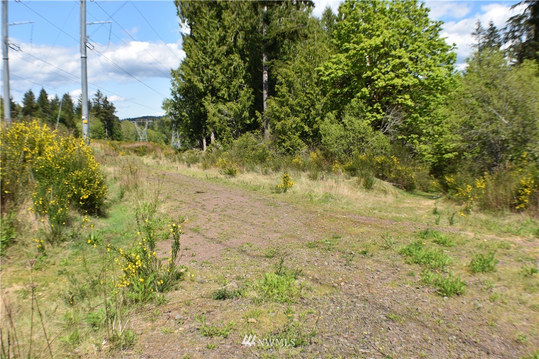 801 East Rasor Road Belfair, WA 98528 - Photo 4 of 10 Gallery Image 4