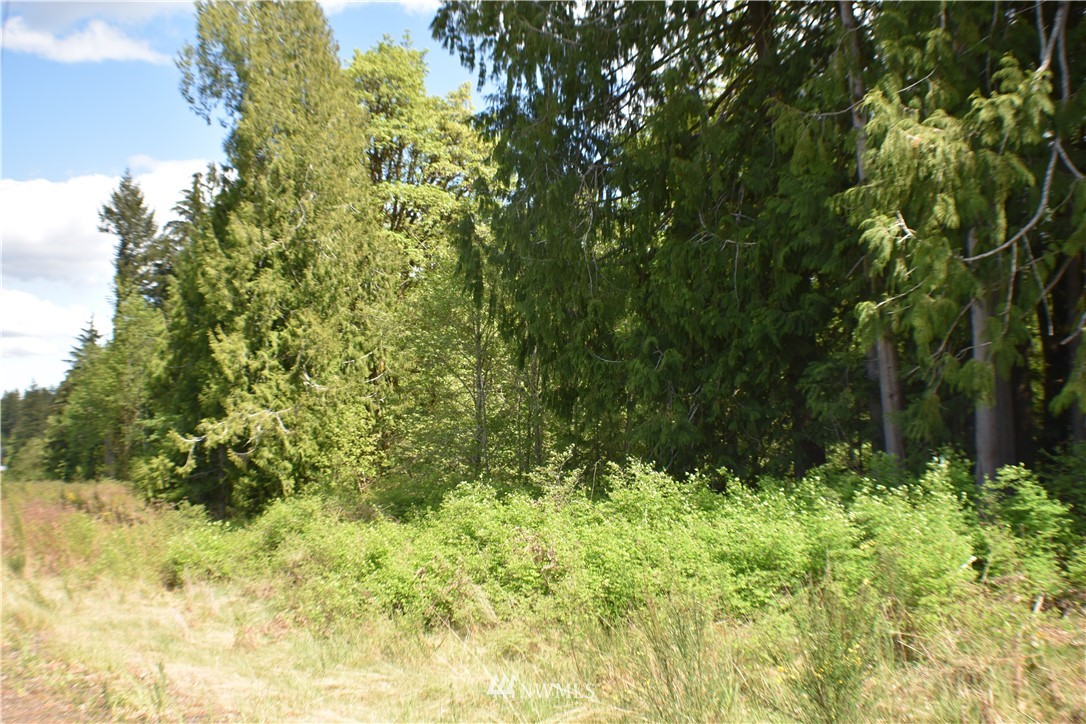 801 East Rasor Road Belfair, WA 98528 - Photo 7 of 10 Gallery Image 7