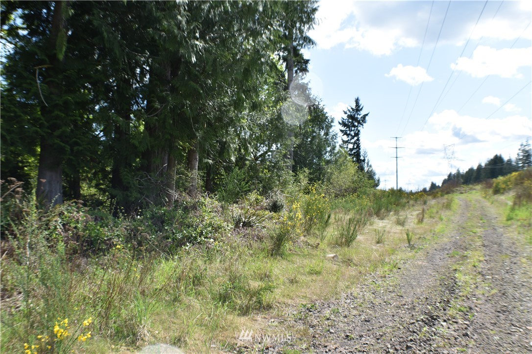 801 East Rasor Road Belfair, WA 98528 - Photo 9 of 10 Gallery Image 9