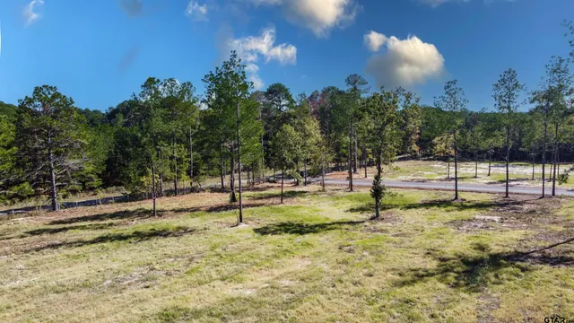 $165,200 | 15537 Aniston Lane, Flint, TX 75762