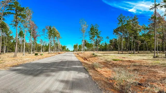 $165,200 | 15537 Aniston Lane, Flint, TX 75762