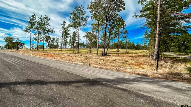 $165,200 | 15537 Aniston Lane, Flint, TX 75762