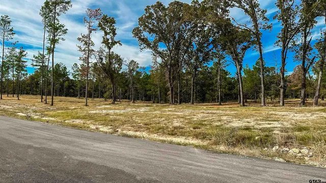 $165,200 | 15537 Aniston Lane, Flint, TX 75762