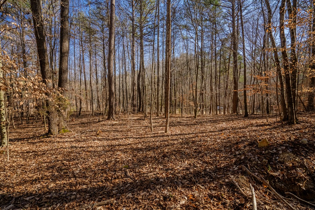 Lot 42 Quarles Road Rocky Face, GA 30740 - Photo 27 of 27 Gallery Image 27