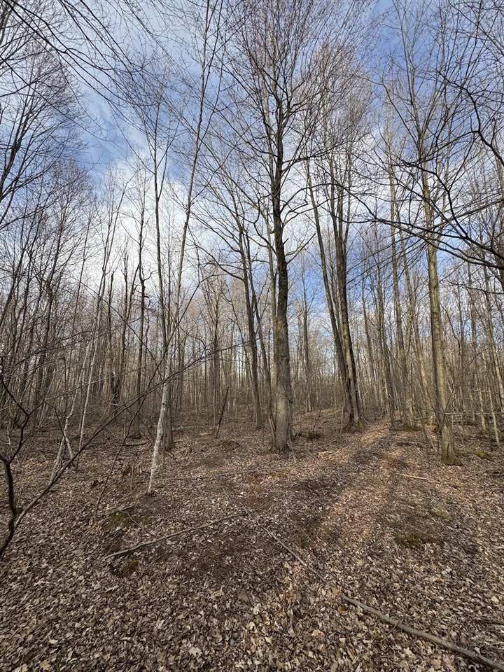 Vl Estey Road Bentley, MI 48613 - Photo 41 of 83