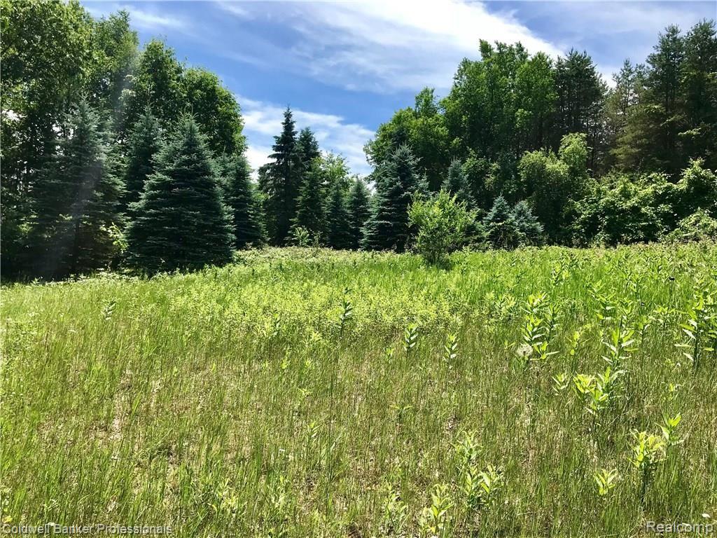 0 Lake Road Otisville, MI 48463 - Photo 12 of 12