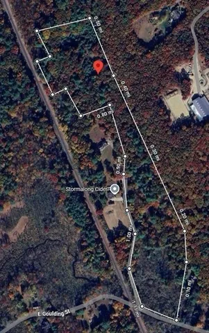 a view of a forest with trees