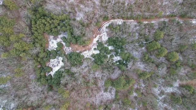 a view of a yard with trees