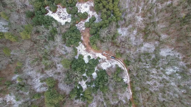 a view of a dry yard with trees
