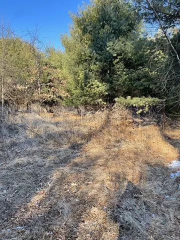 a view of a yard with a tree