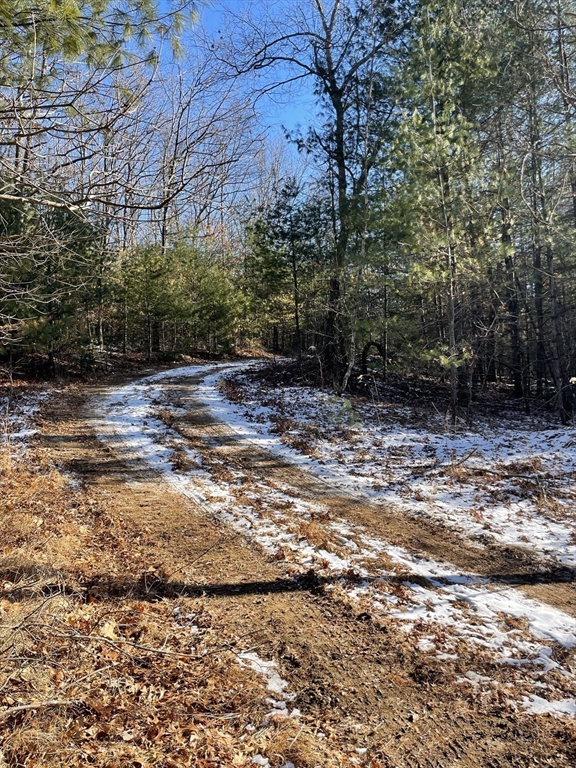 14 Sewall Brook Lane Sherborn, MA 01770 - Photo 8 of 10 a view of a yard with a tree