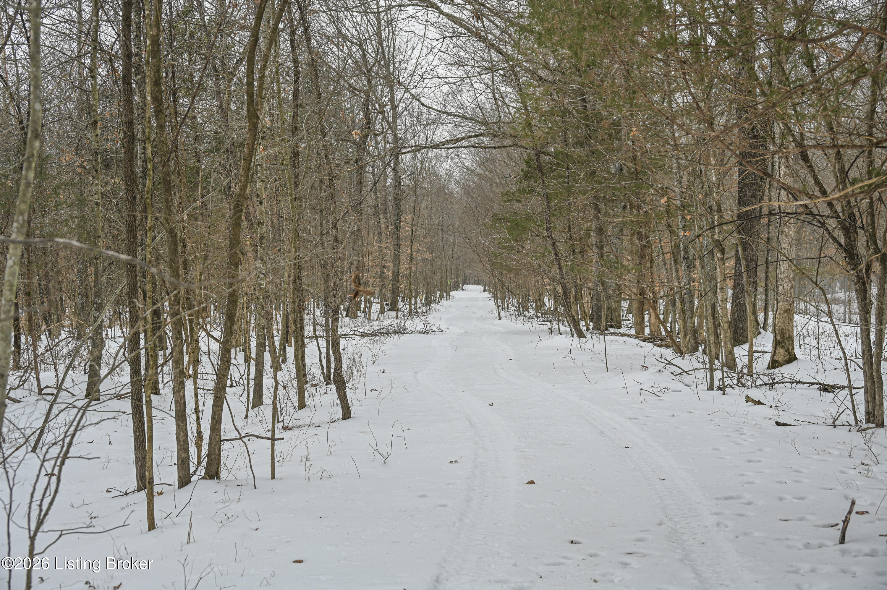 0 Stewart Road Lebanon Junction, KY 40150 - Photo 49 of 106 27-DSC_1523