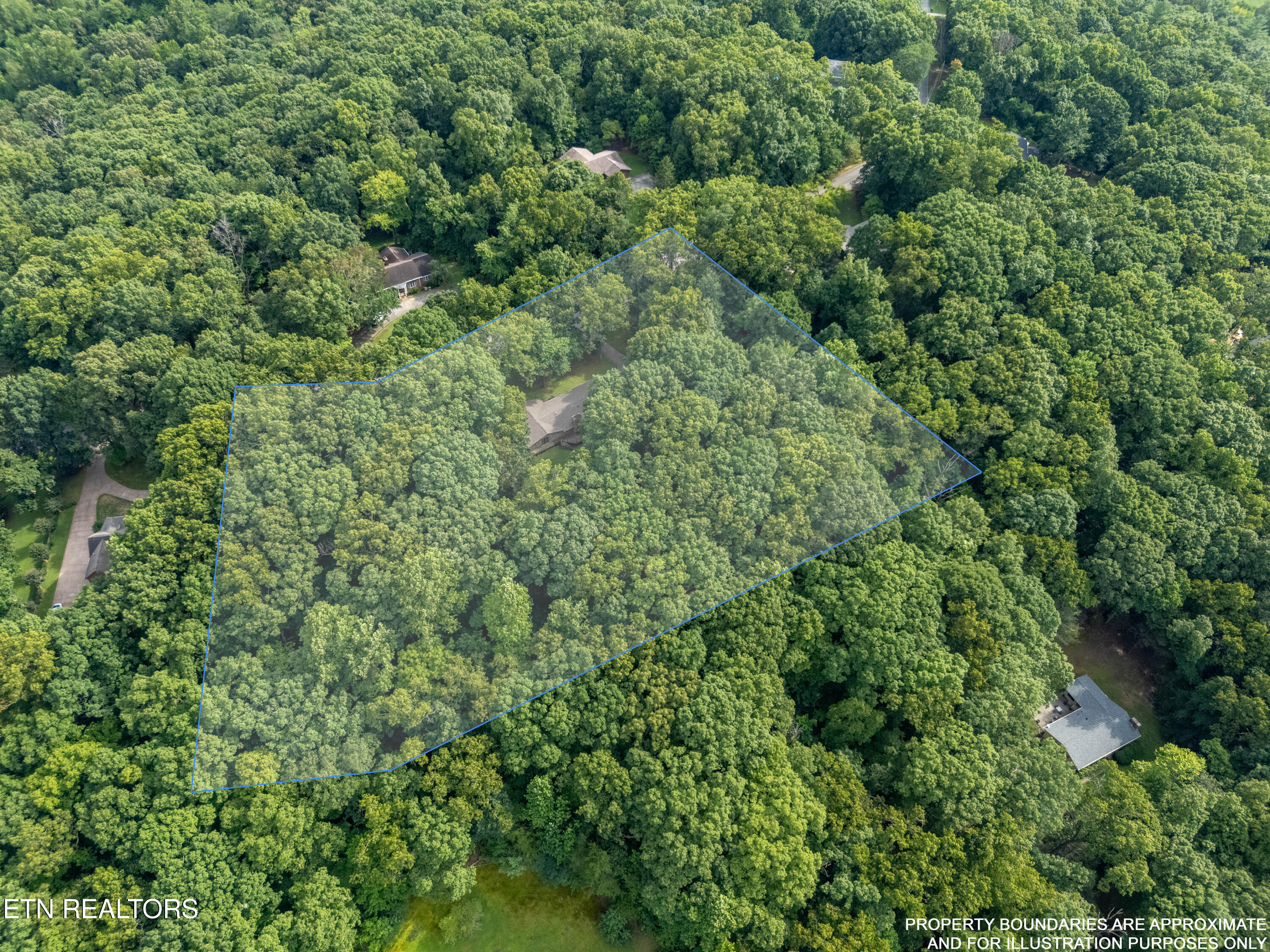 167 Rendezvous Road Rockwood, TN 37854 - Photo 50 of 55 DJI_20260724170832_0265_D-HDR-LOT-LINES