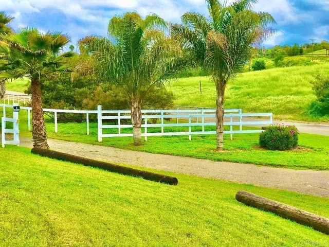 a view of a park with large trees
