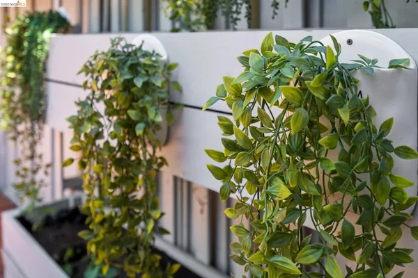 $599,000 | 3011 Mayhew Court, Unit 1, Walnut Creek, CA 94597