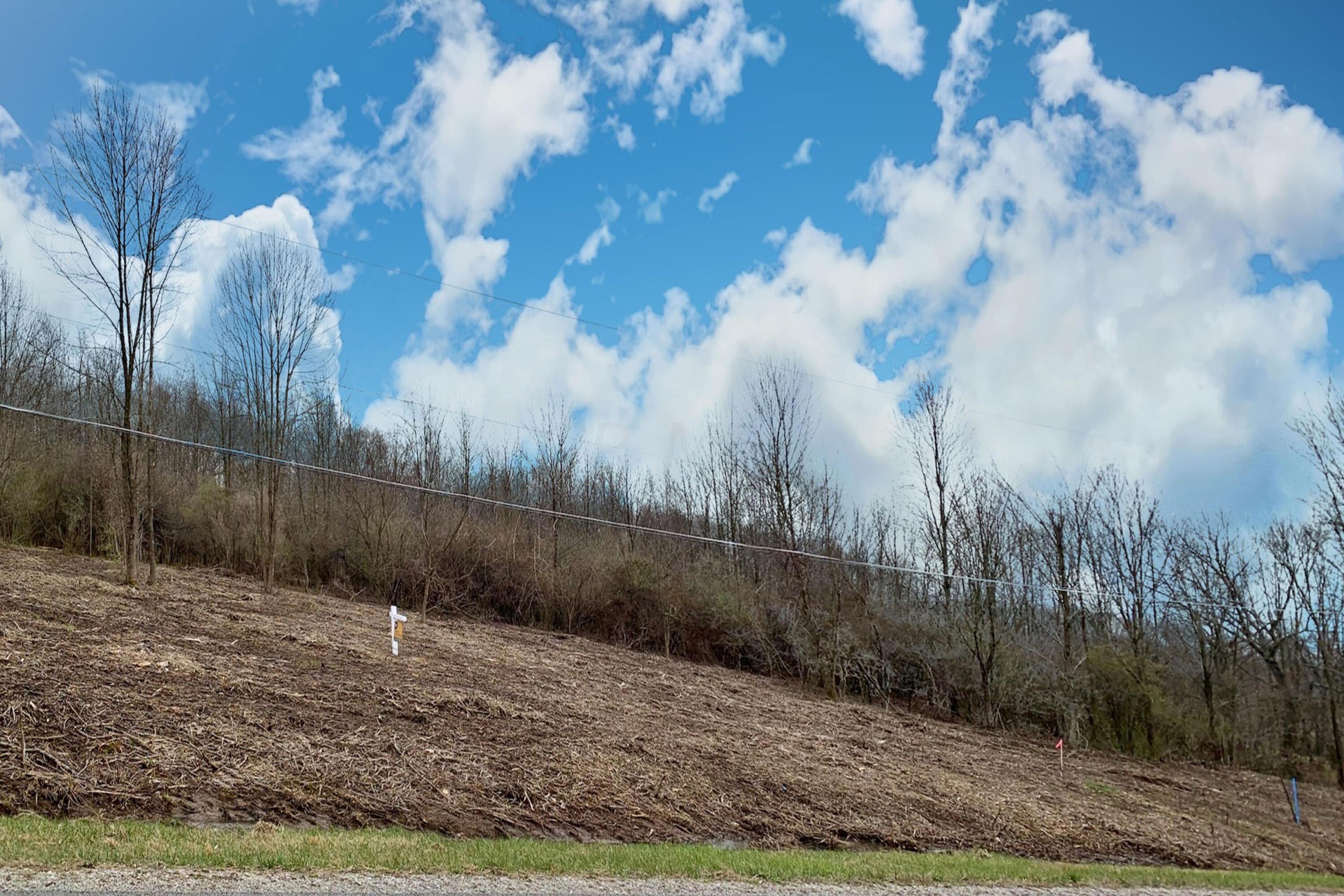 5563 Red Bank Road, Unit TRACT C Galena, OH 43021 - Photo 3 of 32 3.-Front-View-of-Lot-.jpeg