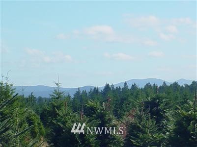 -lot 2 Southeast Ashley Road Shelton, WA 98584 - Photo 1 of 1