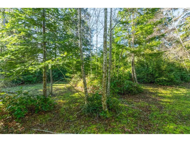a backyard of a house with lots of green space