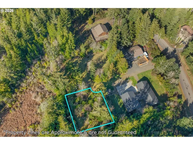 an aerial view of residential house with outdoor space and trees