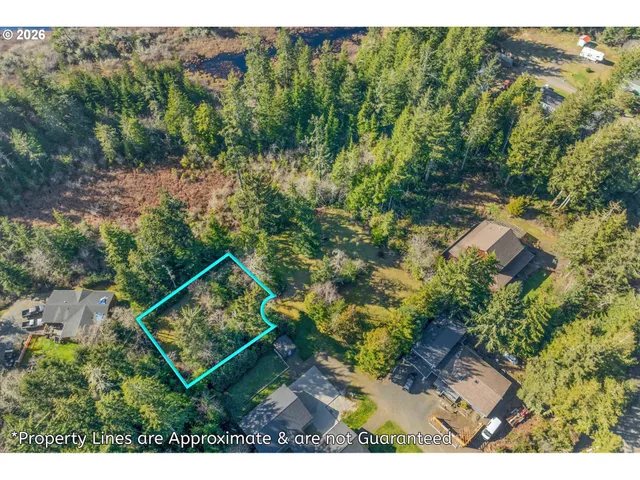 a green field with lots of bushes