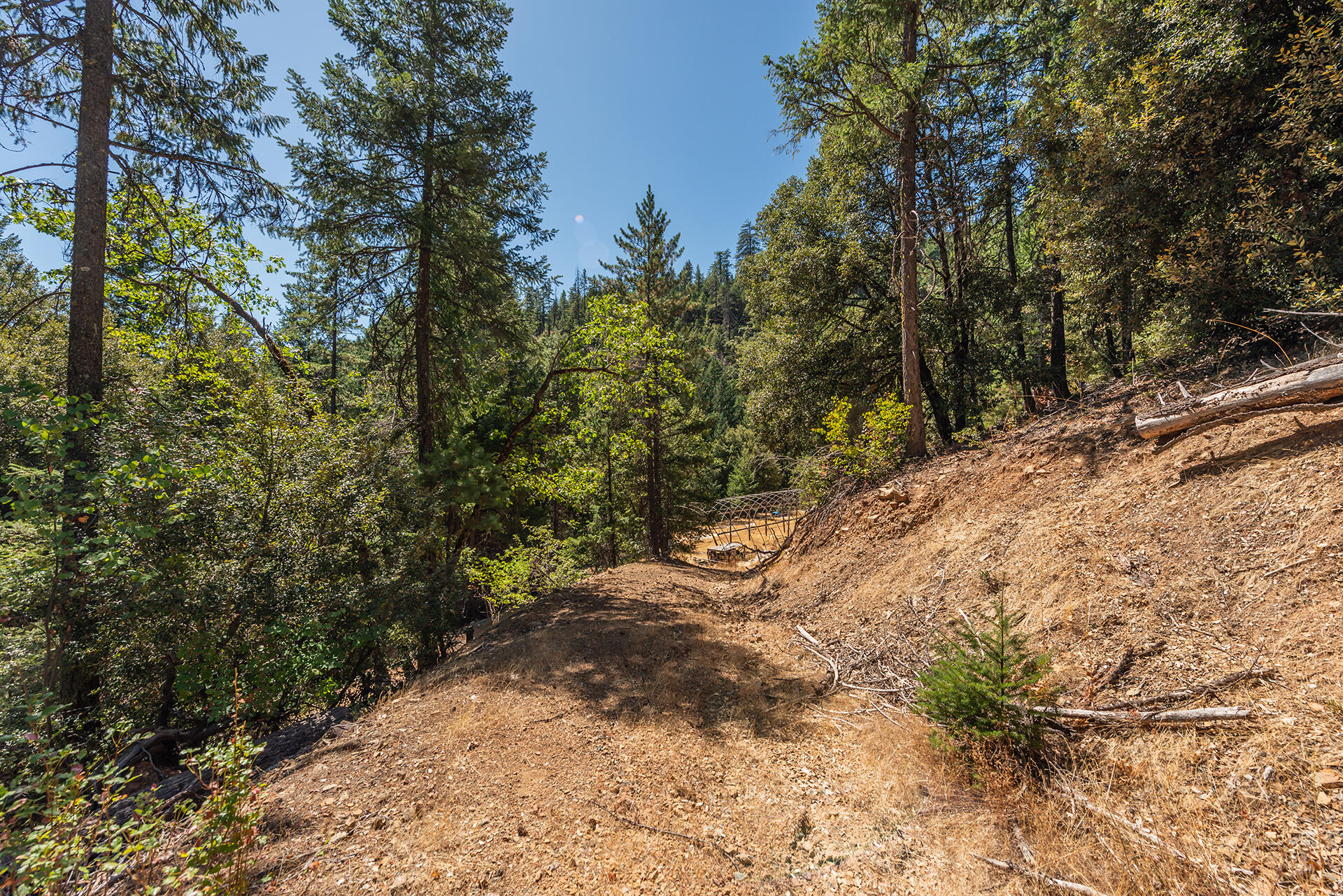 1511 Upper Moore Gulch Road Trinity Center, CA 96091 - Photo 53 of 62 DSC_6731