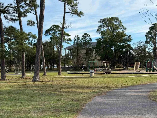 a view of a park with large trees