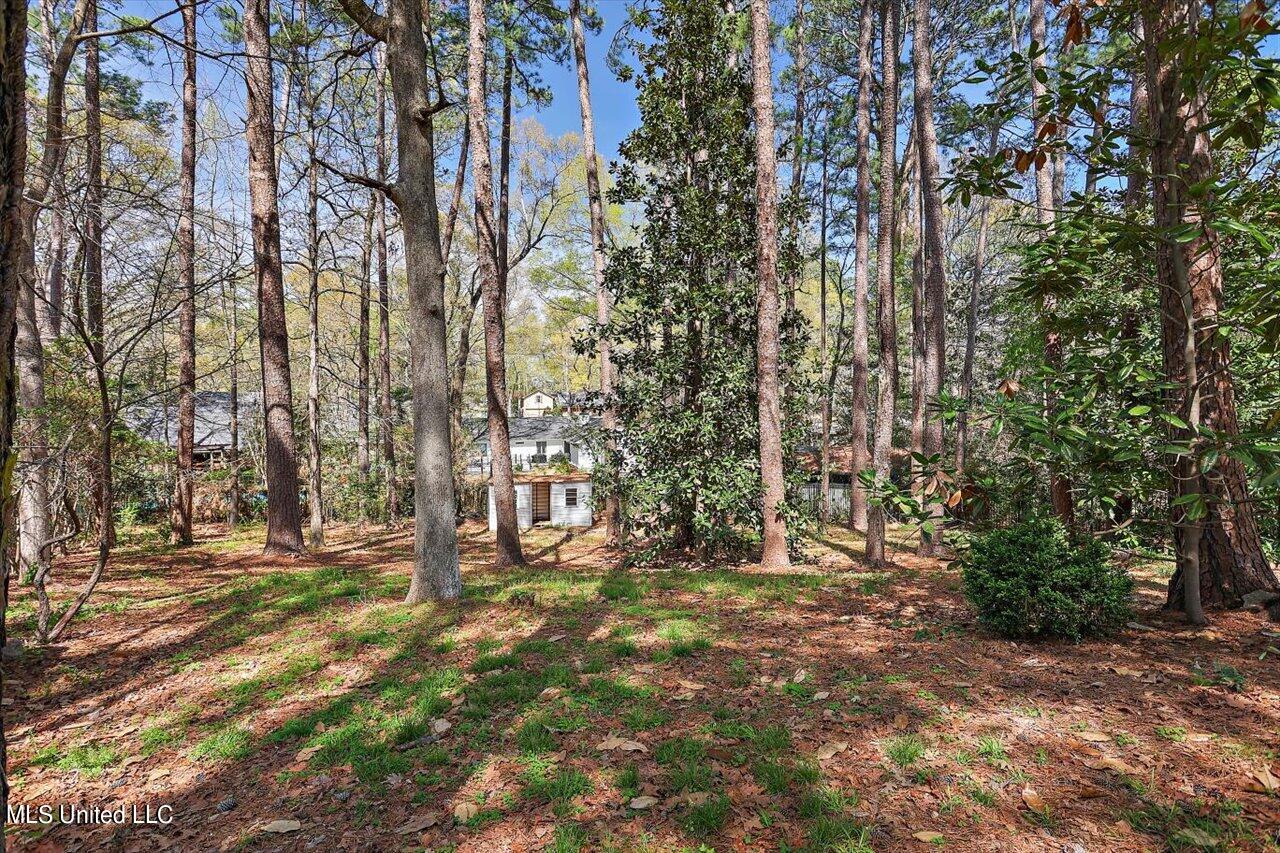 2210 Bellingrath Road Jackson, MS 39211 - Photo 39 of 40 39-2210 Bellingrath Rd