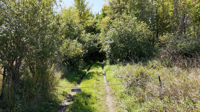 $231,900 | 0 310th Avenue, Sheldon, WI 54766