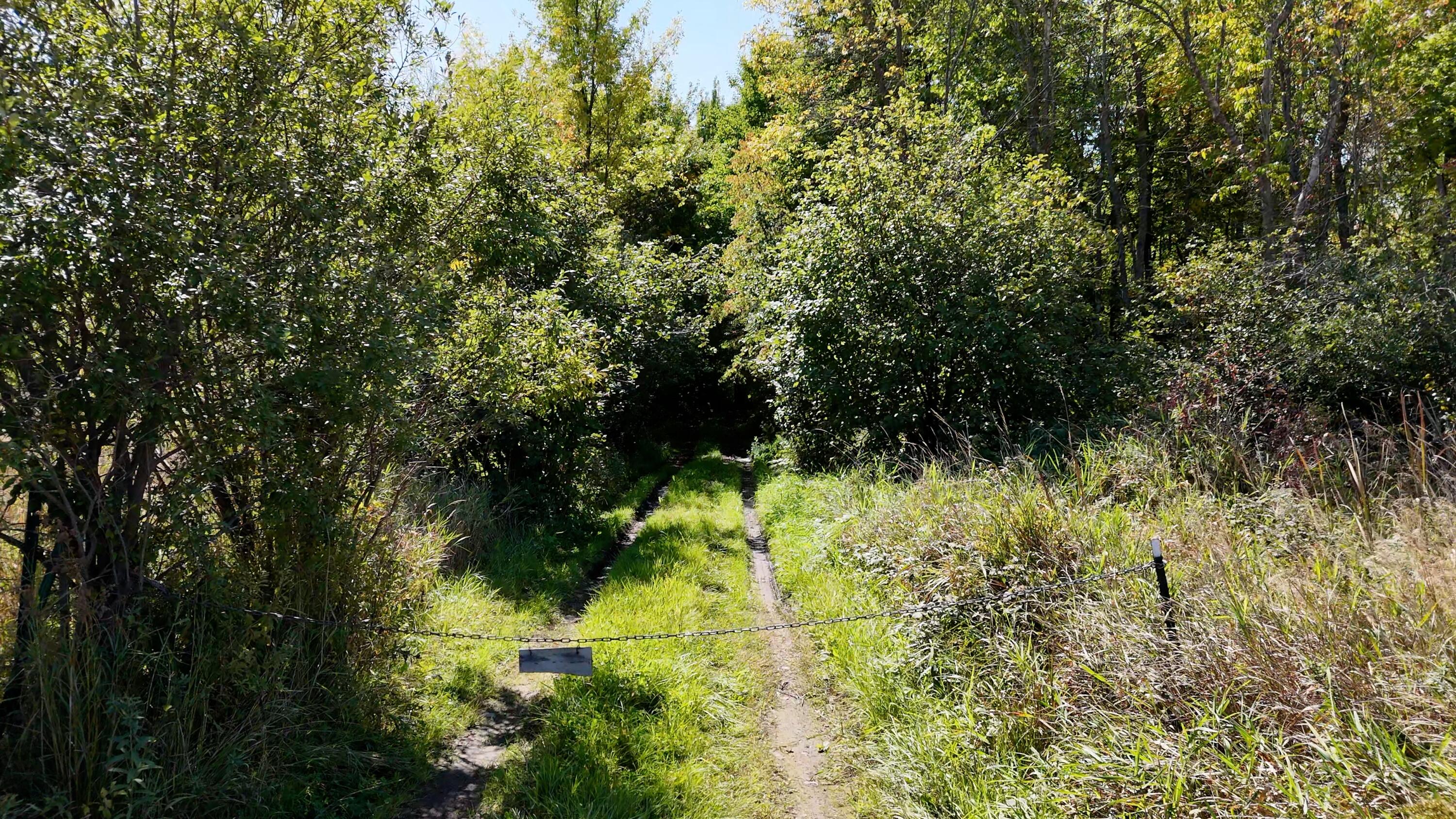 0 310th Avenue Sheldon, WI 54766 - Photo 3 of 10 26