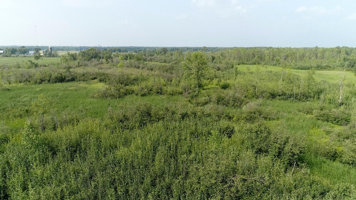 0 310th Avenue Sheldon, WI 54766 - Photo 6 of 10 18