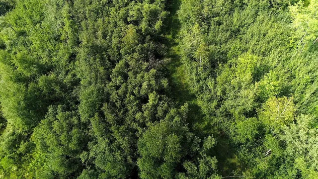 $231,900 | 0 310th Avenue, Sheldon, WI 54766