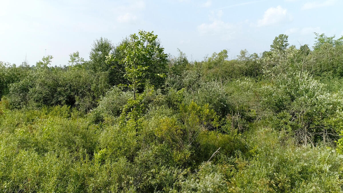 0 310th Avenue Sheldon, WI 54766 - Photo 8 of 10 20