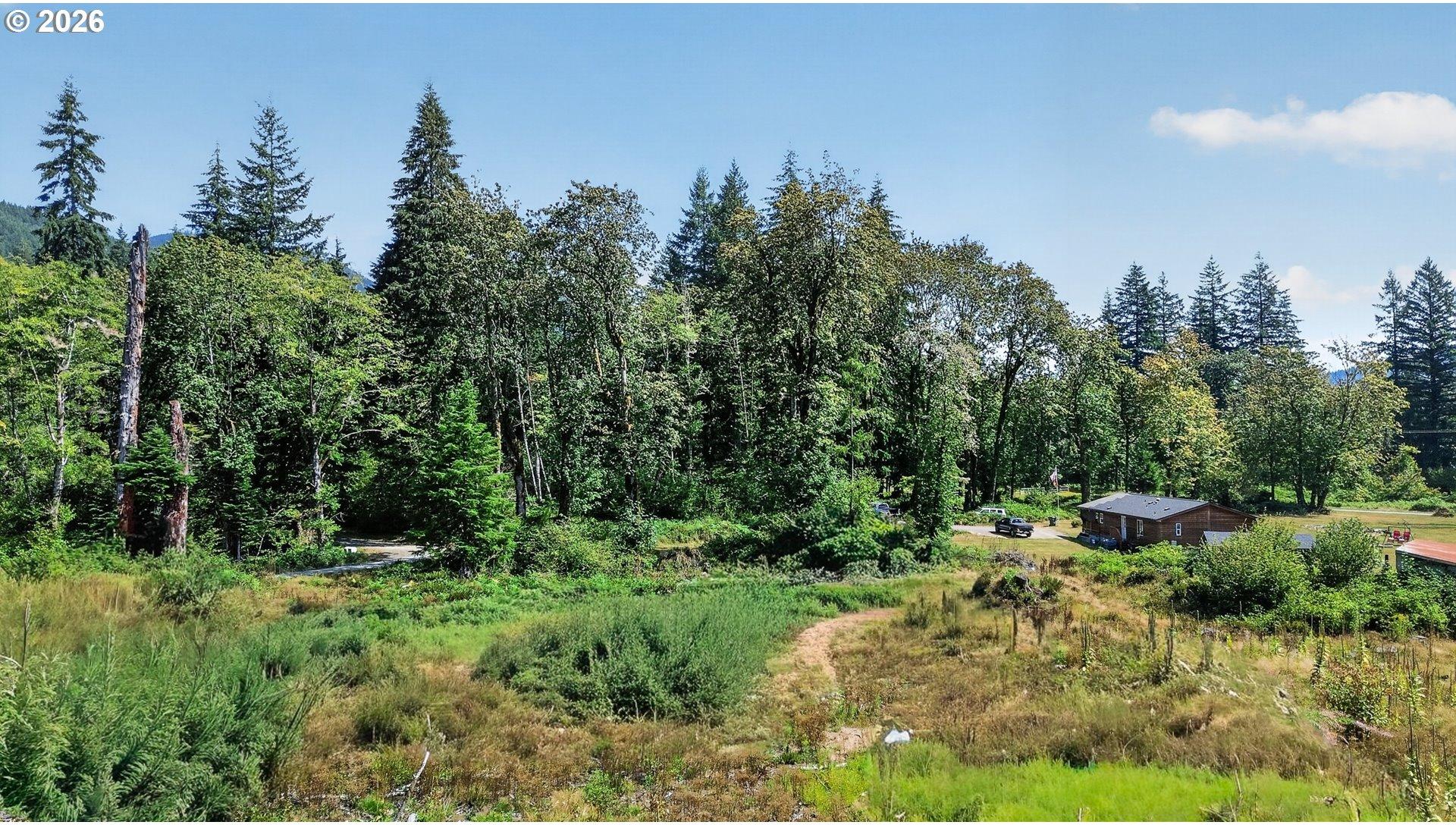 0 Dog Creek Road Cougar, WA 98616 - Photo 6 of 17 Gallery Image 6