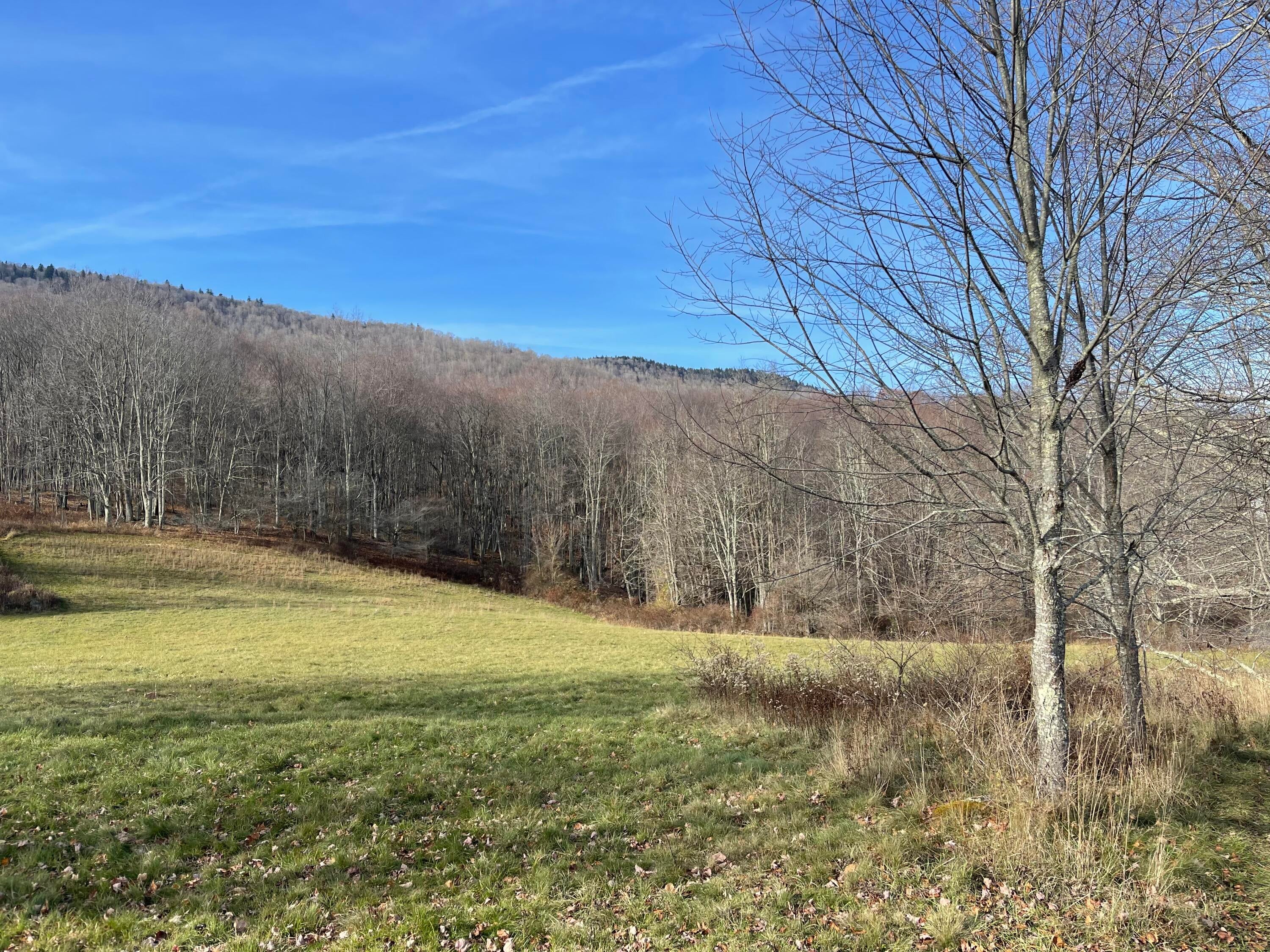 12593 Back Mountain Road Durbin, WV 26264 - Photo 20 of 84 Gallery Image 20