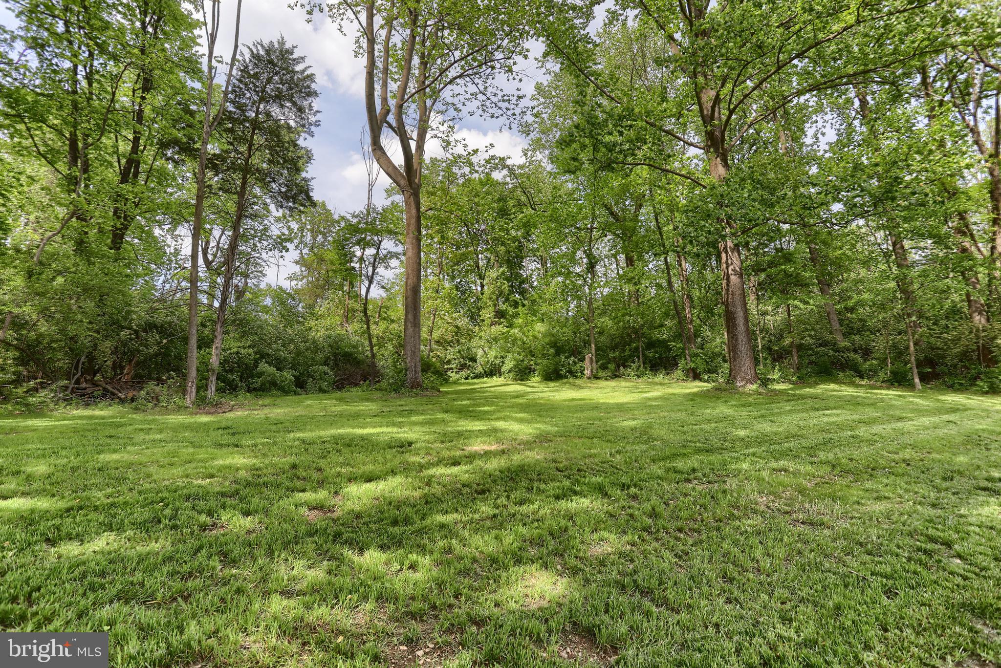46 Gelsinger Road Reading, PA 19608 - Photo 6 of 50 a view of outdoor space and yard