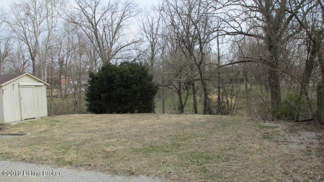 8231 Delido Road Louisville, KY 40219 - Photo 23 of 24 view of rear yard
