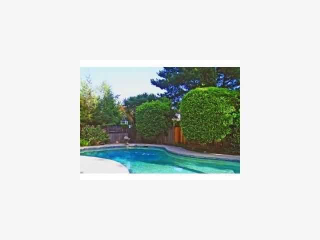 742 Filip Road Los Altos, CA 94024 - Photo 8 of 9 a picture of a person