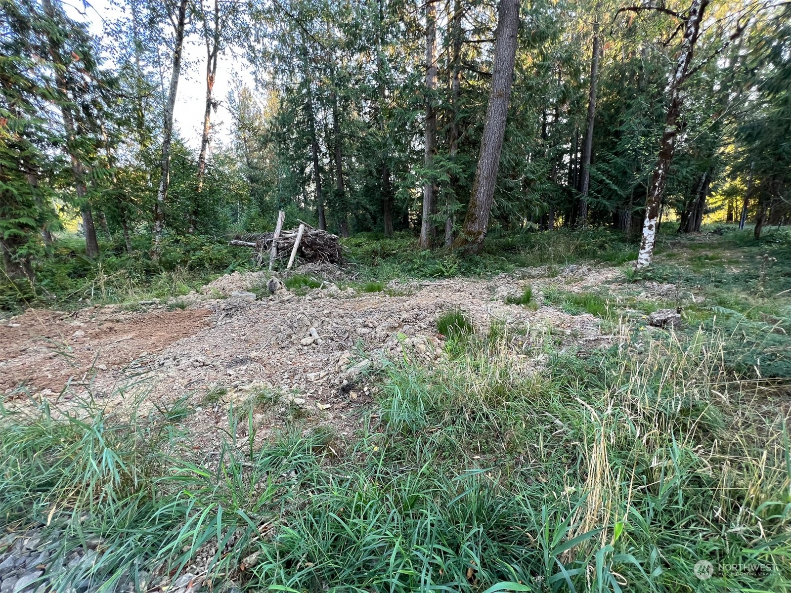 954 Logan Hill Road Chehalis, WA 98532 - Photo 12 of 15 a backyard of a house with lots of green space