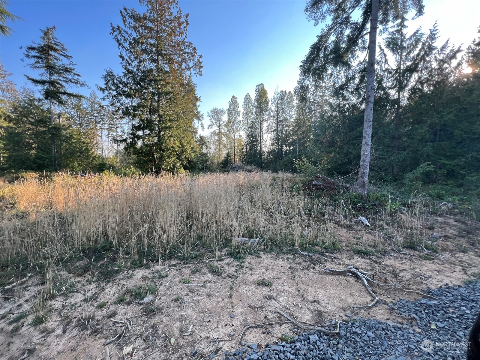 954 Logan Hill Road Chehalis, WA 98532 - Photo 4 of 15 a view of a lake with trees in the background