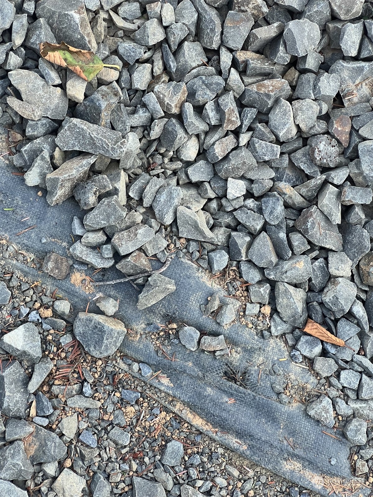 954 Logan Hill Road Chehalis, WA 98532 - Photo 5 of 15 a view of a tree