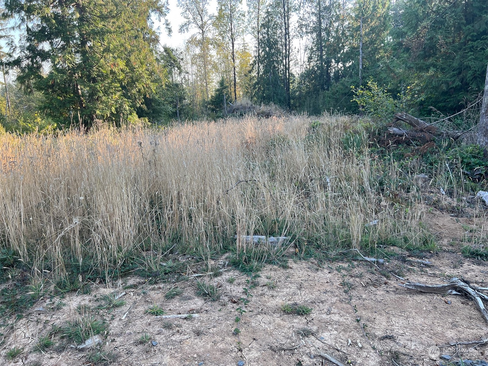 954 Logan Hill Road Chehalis, WA 98532 - Photo 7 of 15 a view of a yard