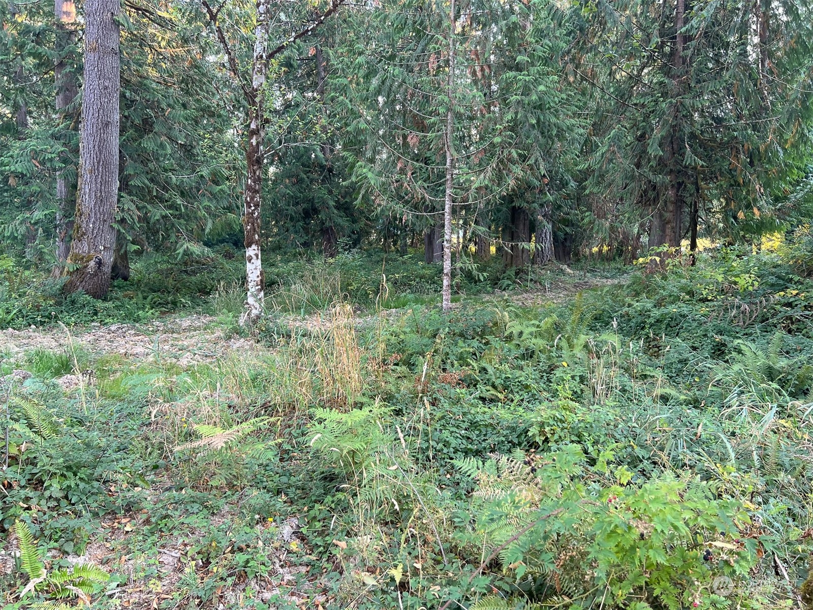 954 Logan Hill Road Chehalis, WA 98532 - Photo 10 of 15 a view of outdoor space and green space