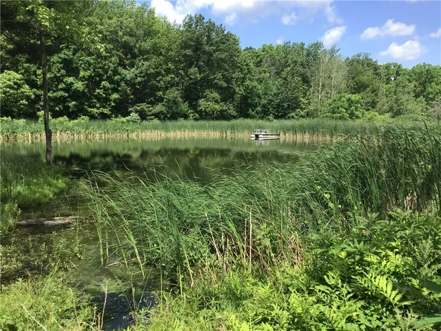 $290,000 | 10695 Sandy Hill Road, Dansville, NY 14437