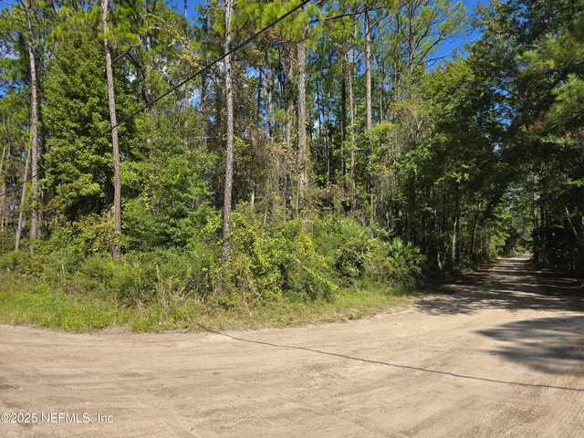 a view of a pathway both side of a yard