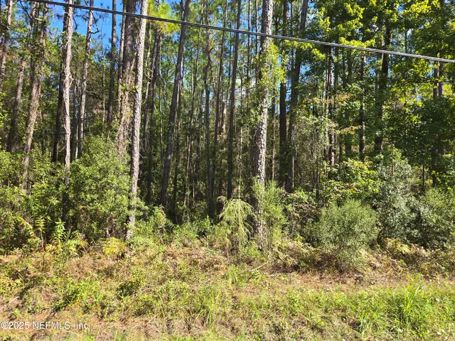 a view of a yard with plants and trees
