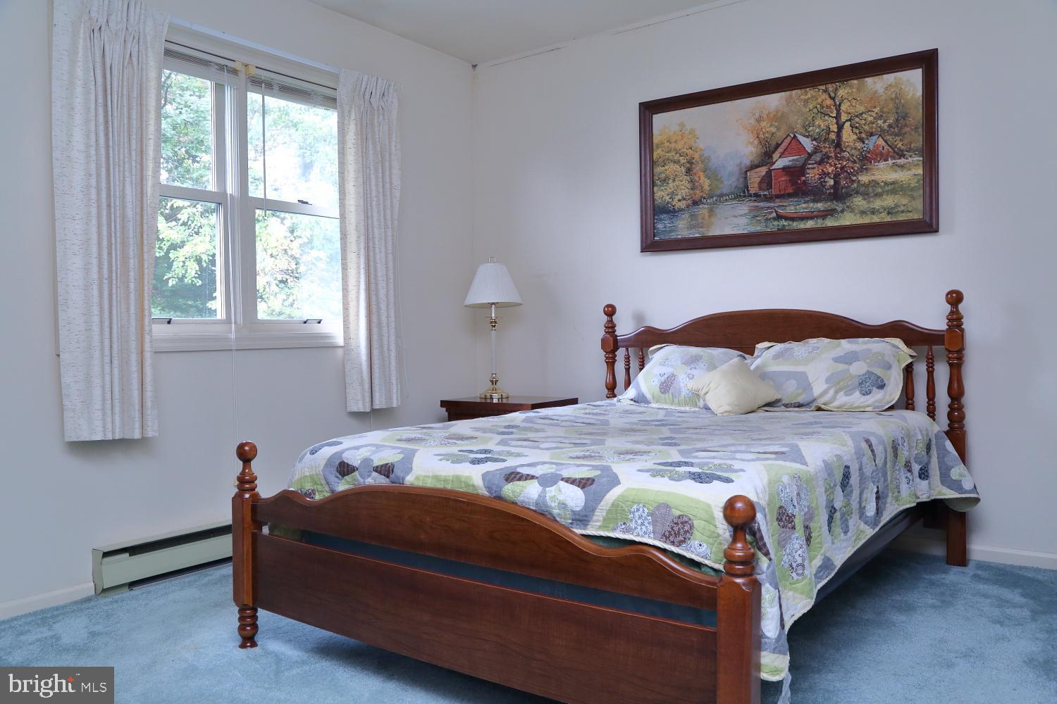 102 Homestead Drive Lititz, PA 17543 - Photo 14 of 17 Main bedroom