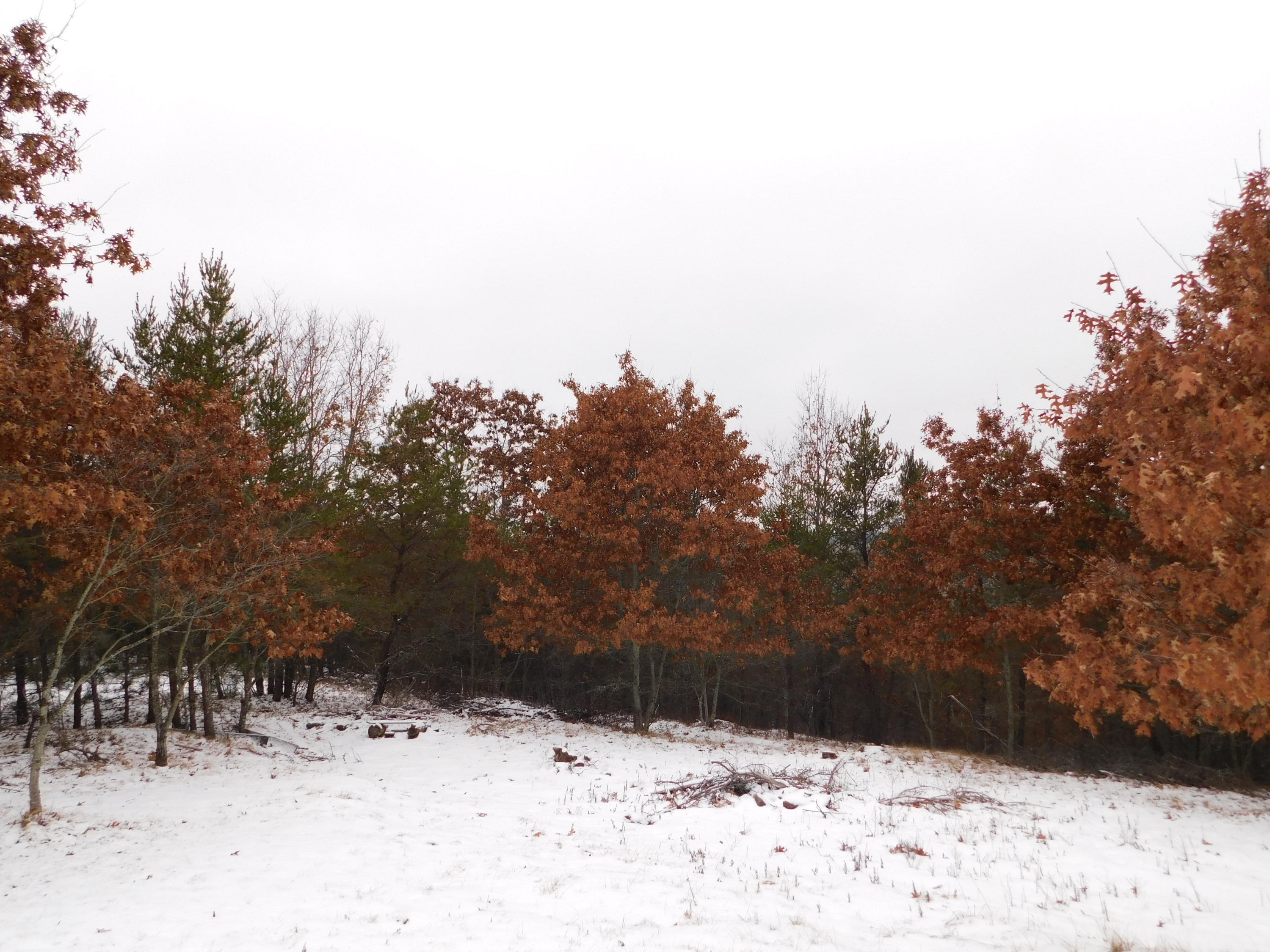 898 Rainbow Ridge Grayling, MI 49738 - Photo 41 of 41 Gallery Image 41