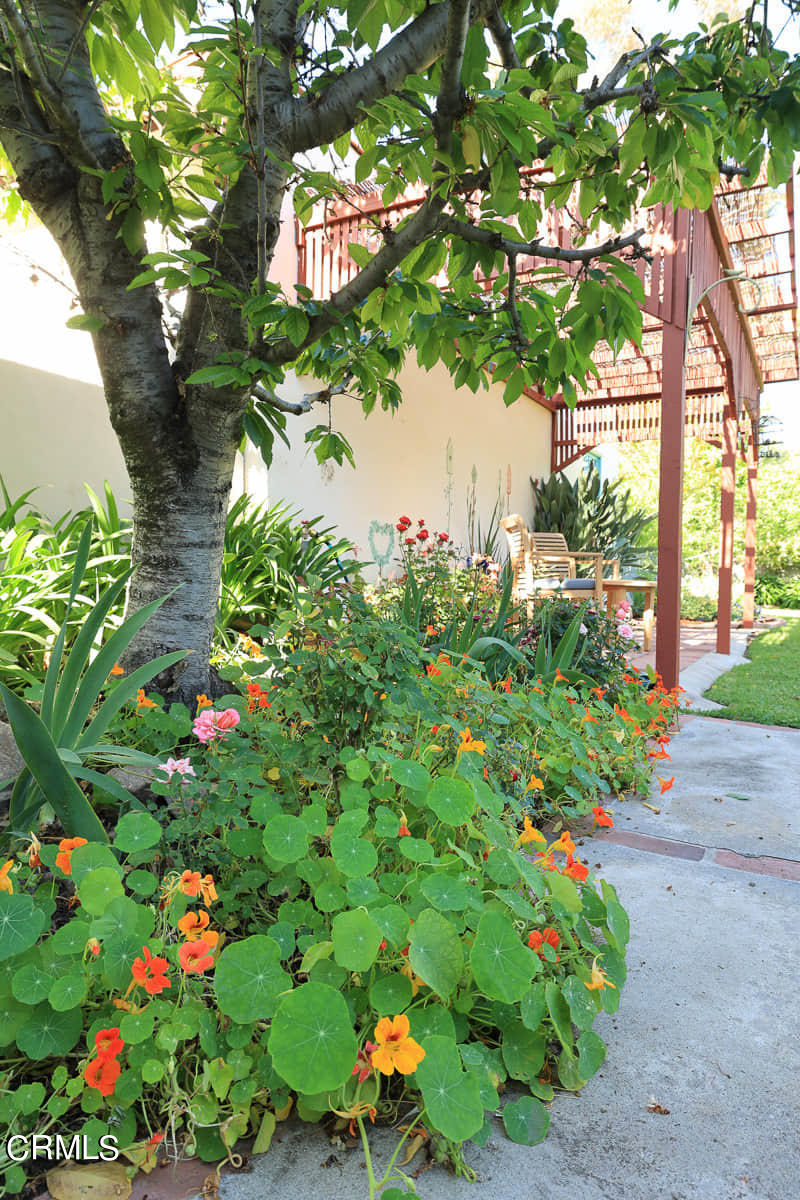 2508 Page Drive Altadena, CA 91001 - Photo 54 of 66 MLS_68